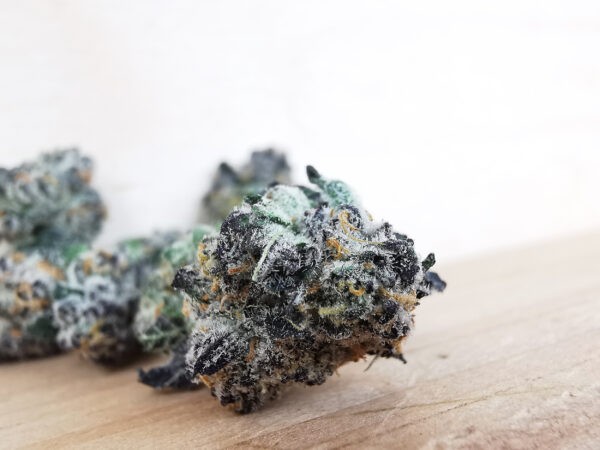 Bulk-Sale GV's AAAA Grape Cheese Smalls - Image 4