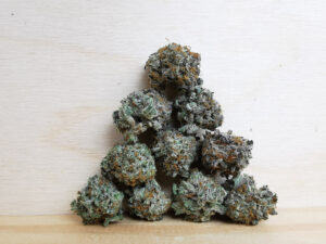 Best Sativa Weed Strains in Canada 2021, BuyWeed247