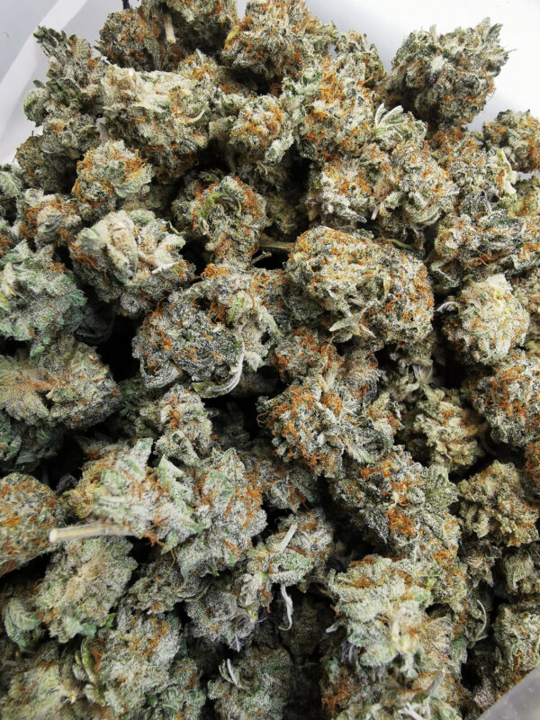 Bulk-Sale AAAA AMG Smalls - Image 3