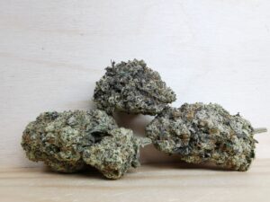 Best Sativa Weed Strains in Canada 2021, BuyWeed247