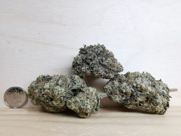 Bulk-Sale AAAA Donkey Butter - Image 2