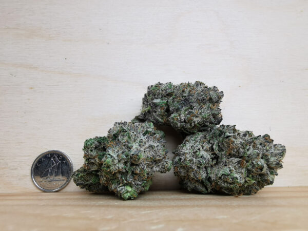 Green Valley's AAAA++ Black Tuna - Image 2