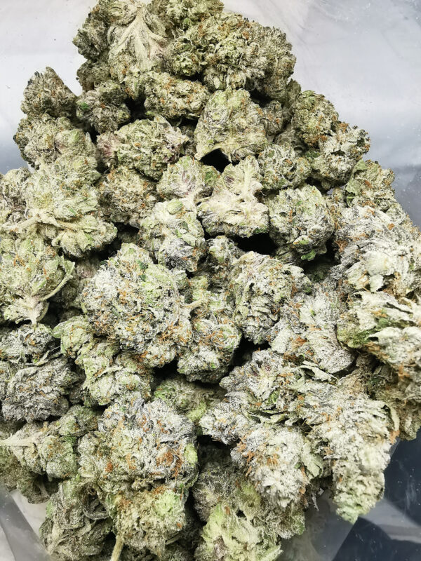Green Valley's AAAA++ Black Tuna - Image 3