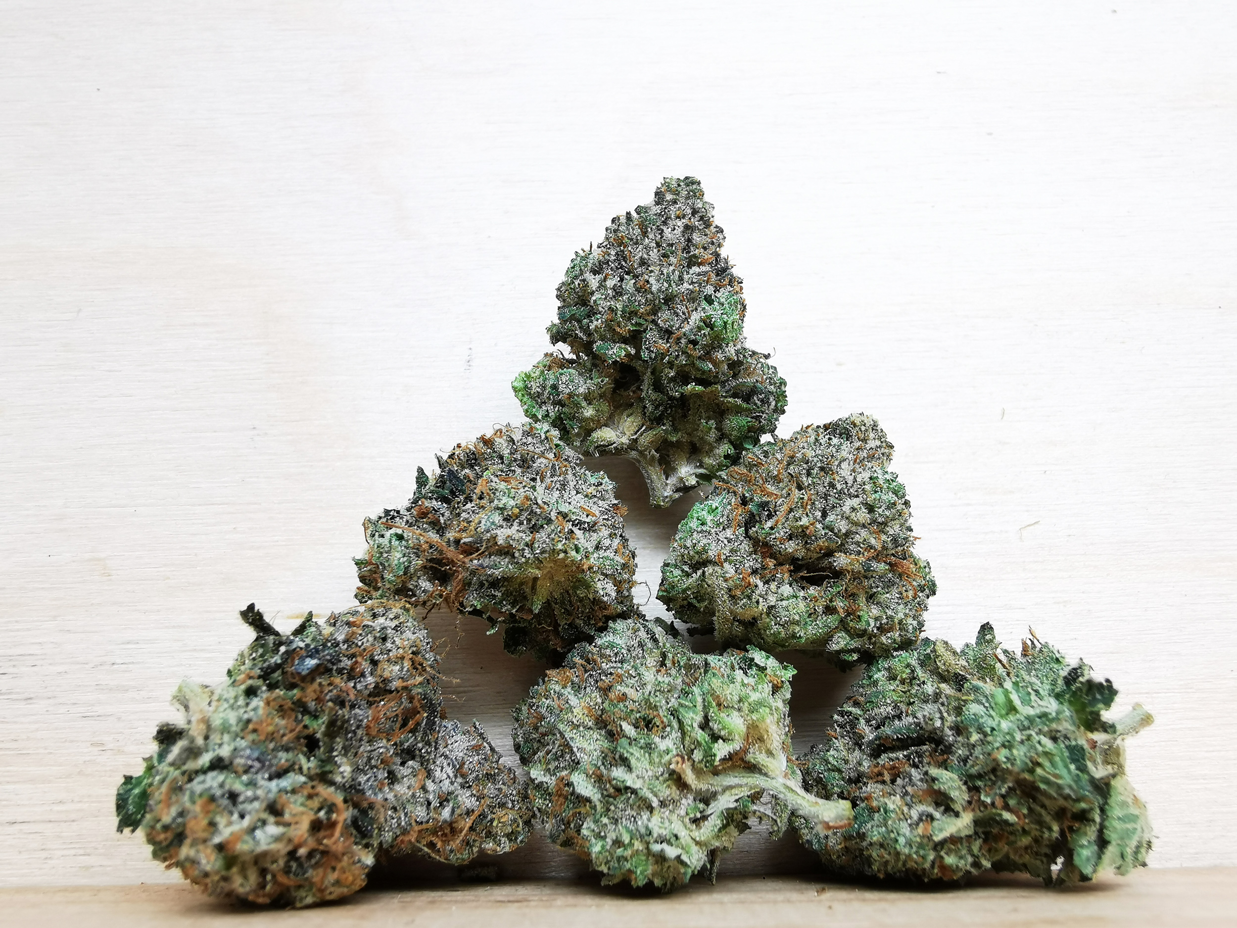 IMG_20251114_163029 AAAAA Bubba Kush Med. - Image 1