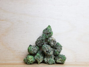 Best Sativa Weed Strains in Canada 2021, BuyWeed247