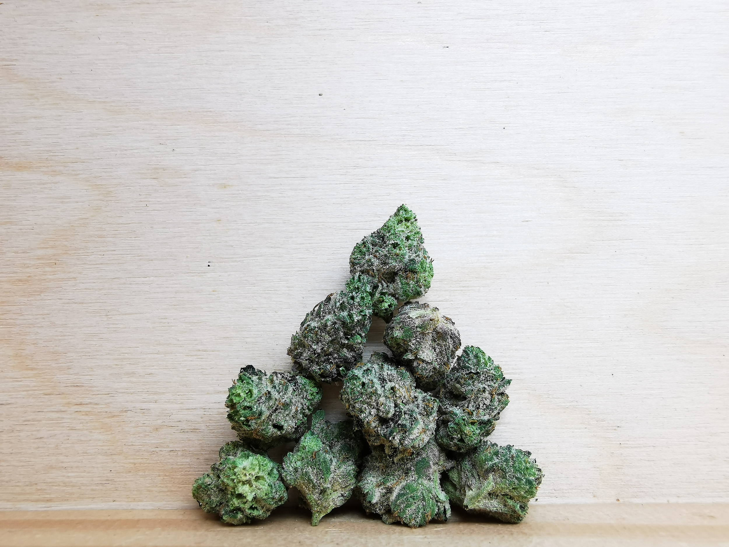 IMG_20260224_145647 Green Valley's AAAA Rockstar Smalls - Image 1