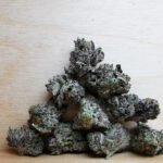 Green Valley's AAAA++ Diablo Death Bubba Smalls
