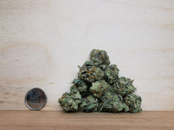 AAAA Blueberry Cheesecake Smalls - Image 3