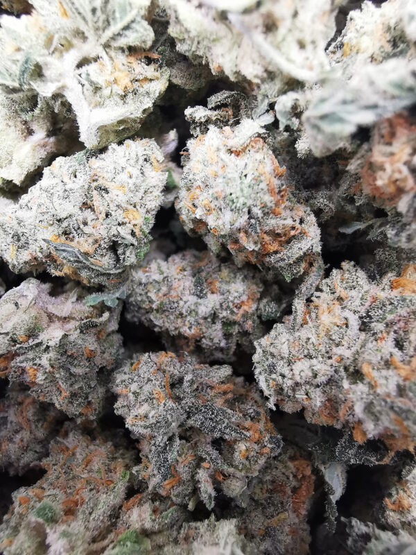 AAAA Blueberry Cheesecake Smalls - Image 4