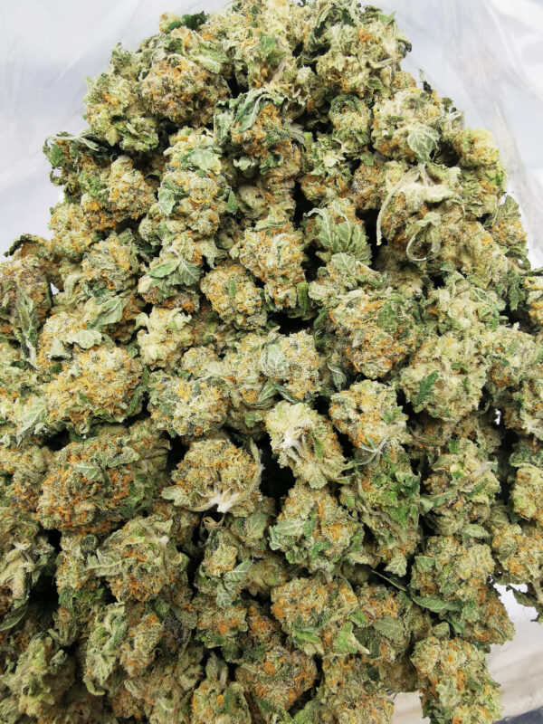 Bulk-Sale AAA+ Lemon Cream Smalls - Image 3