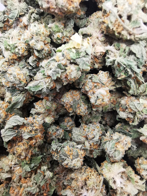 Bulk-Sale AAA+ Lemon Cream Smalls - Image 4