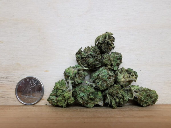 AAA+ King's Kush Smalls - Image 2