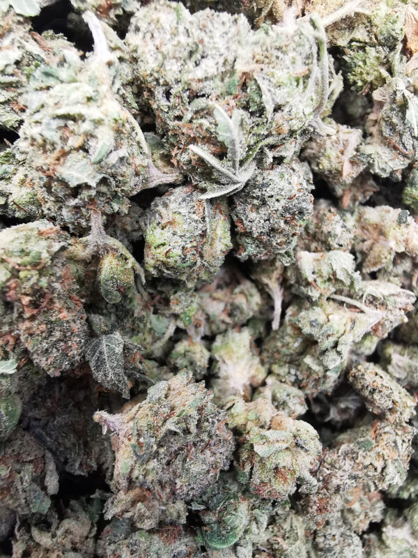 AAA+ King's Kush Smalls - Image 4
