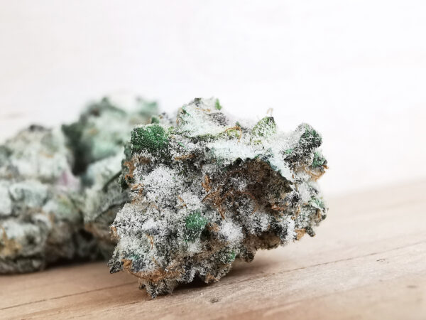 Green Valley's AAAA Durban Poison Smalls - Image 4