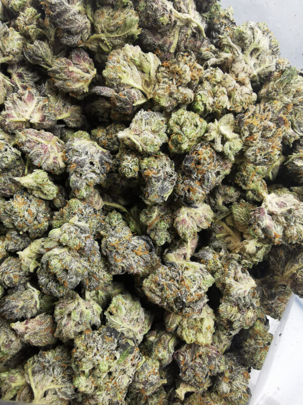 Green Valley's AAAA+ Pink Death Smalls - Image 3