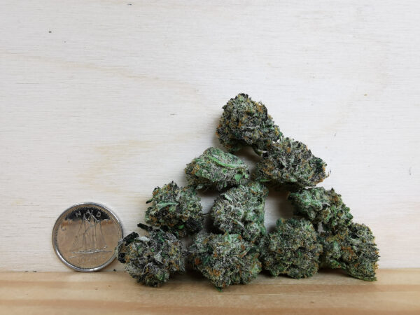 Green Valley's AAAA+ Pink Death Smalls - Image 2