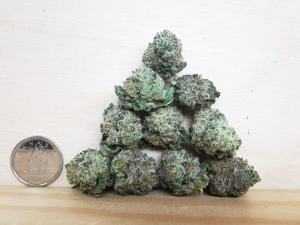 Bulk-Sale GV's AAAA Blue Zkittlez Smalls - Image 2