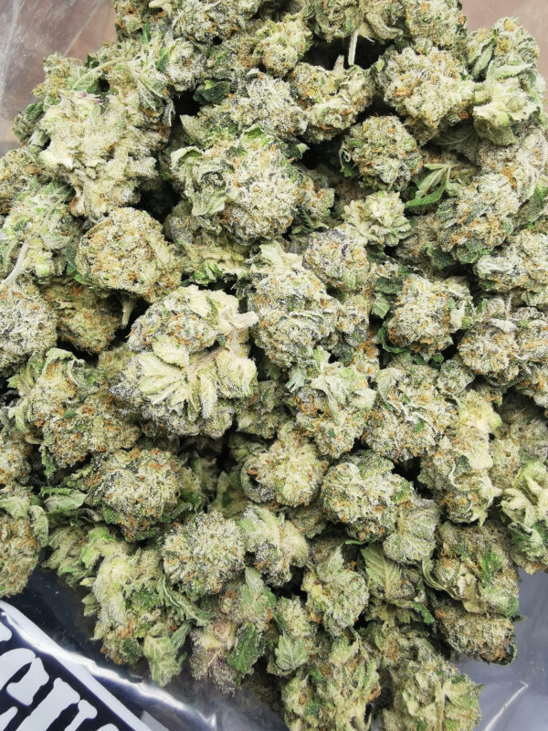 Bulk-Sale GV's AAAA Blue Zkittlez Smalls - Image 3