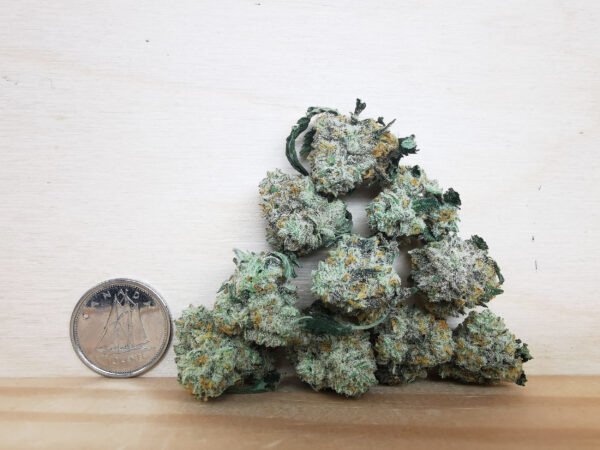 Bulk-Sale AAA+ Banana Sherbet Smalls - Image 2