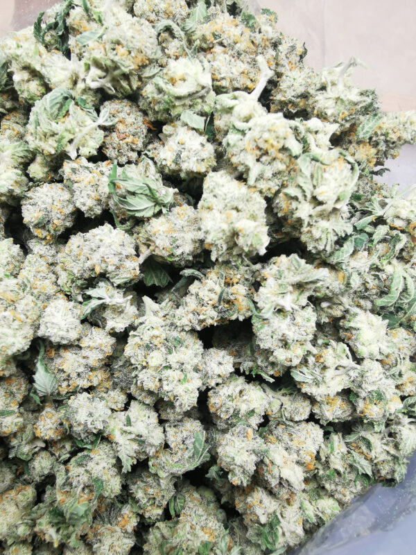 Bulk-Sale AAA+ Banana Sherbet Smalls - Image 3