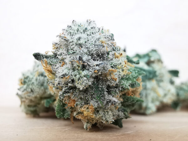 Bulk-Sale AAA+ Banana Sherbet Smalls - Image 4
