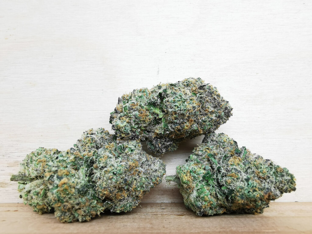 Buy Bulk Weed Online Aurora Ontario Dispensary, BuyWeed247