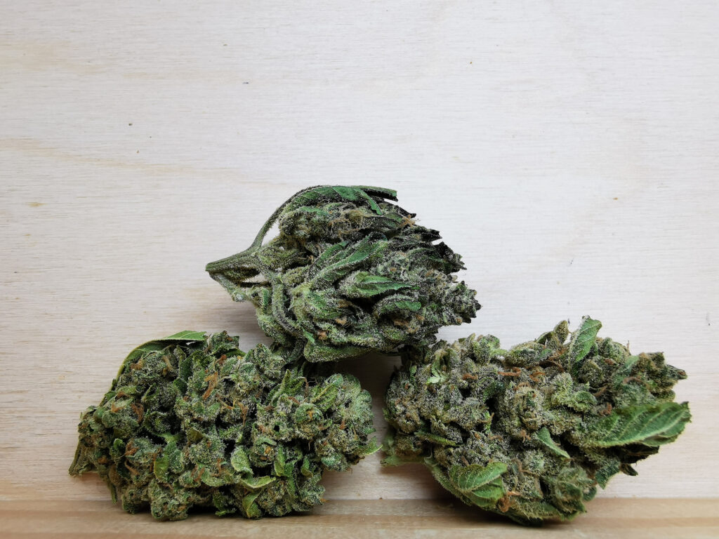 Buy Cheap Weed Online 247 Wholesale Online Dispensary in Guelph Canada, BuyWeed247