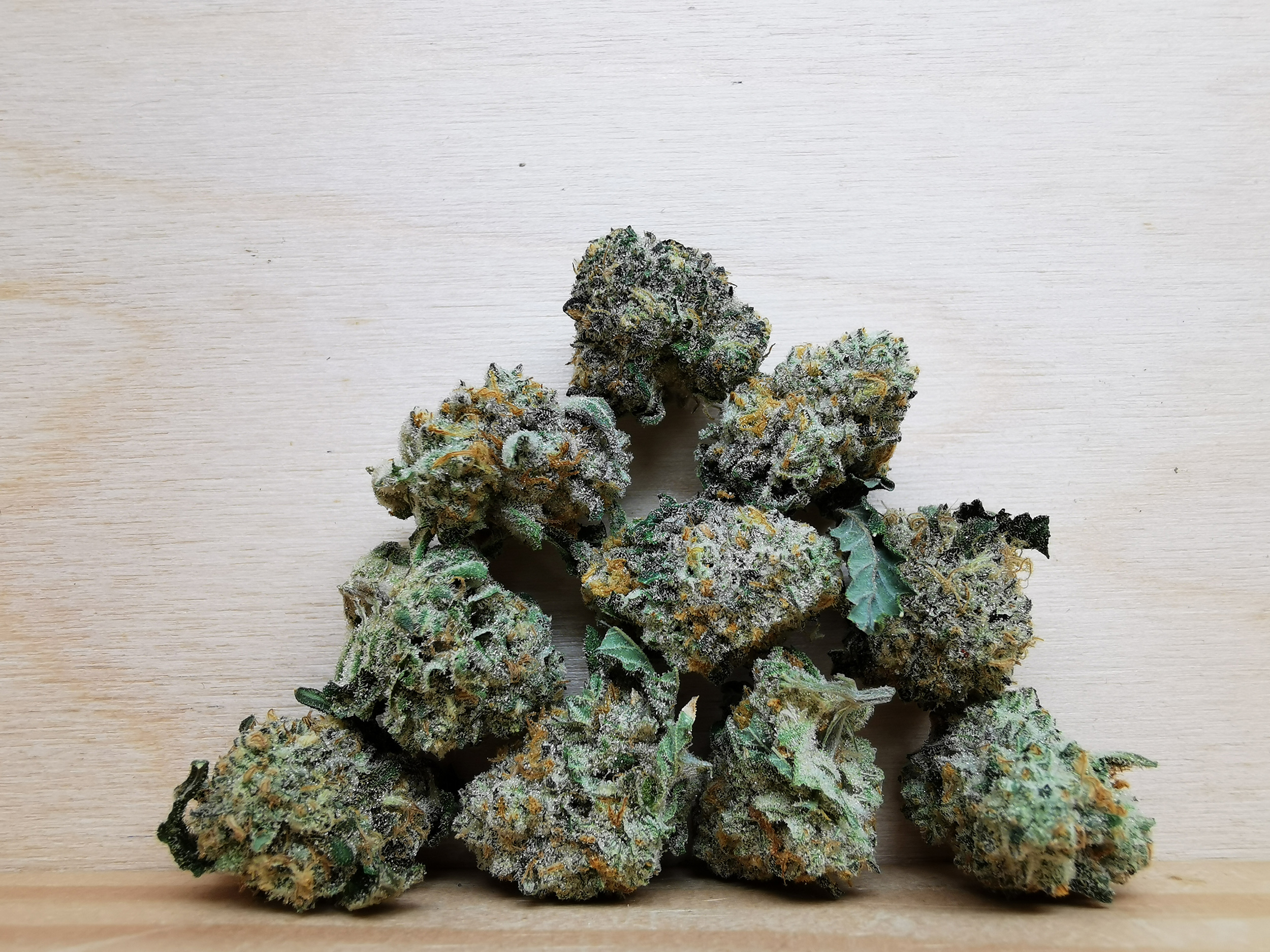 IMG_20251229_172037 Bulk-Sale AAAA Banana Kush Cake Smalls - Image 1