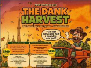 Top 6 Weed Strains in Canada 2021, BuyWeed247