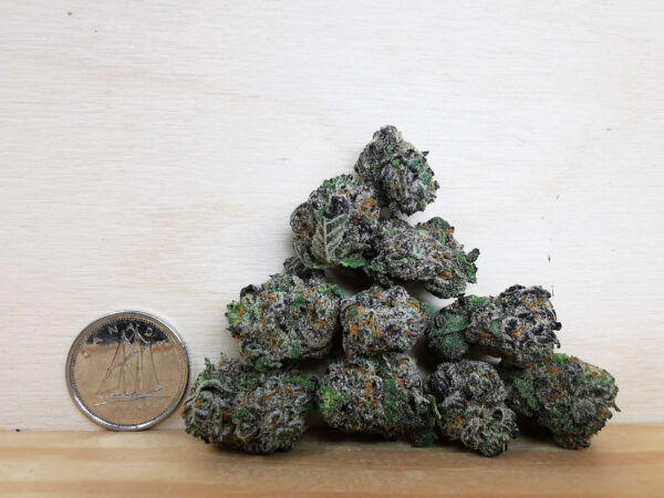Green Valley's AAAA Purple Space Cookies Smalls - Image 2