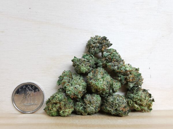 AAAA Trainwreck Smalls - Image 2