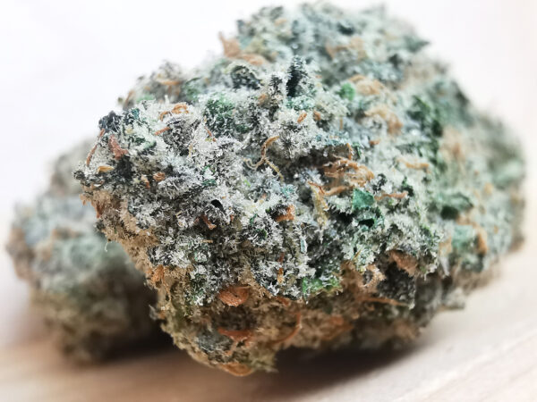 Green Valley's AAAA+ Malibu Marker - Image 4