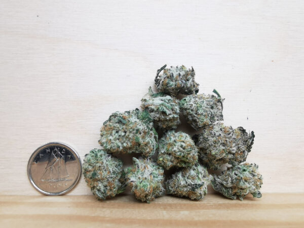 Green Valley's AAAA White Biscotti OG Smalls - Image 2