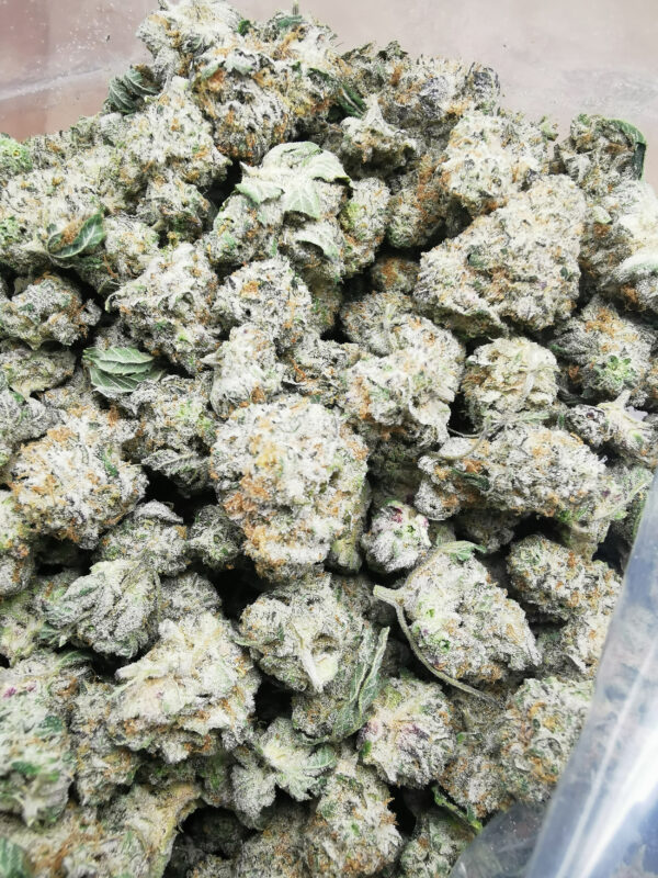 Green Valley's AAAA White Biscotti OG Smalls - Image 3
