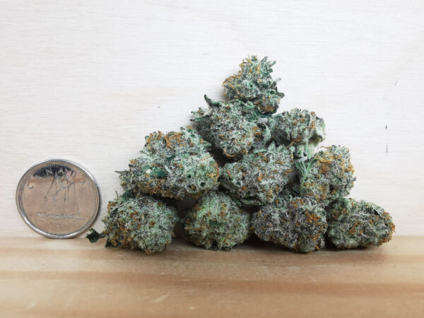 AAAA Girl Scout Cookies Smalls - Image 2