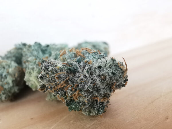 Green Valley's AAAA White Biscotti OG Smalls - Image 4