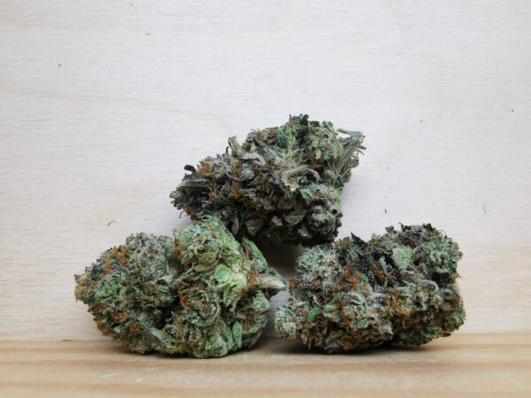 Green Valley's AAAA Pink Rockstar - Image 1