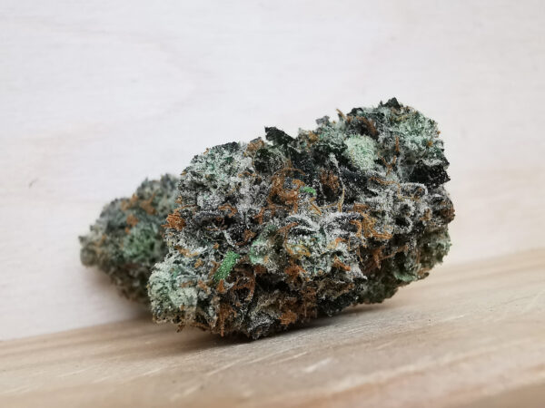 Green Valley's AAAA Pink Rockstar - Image 4