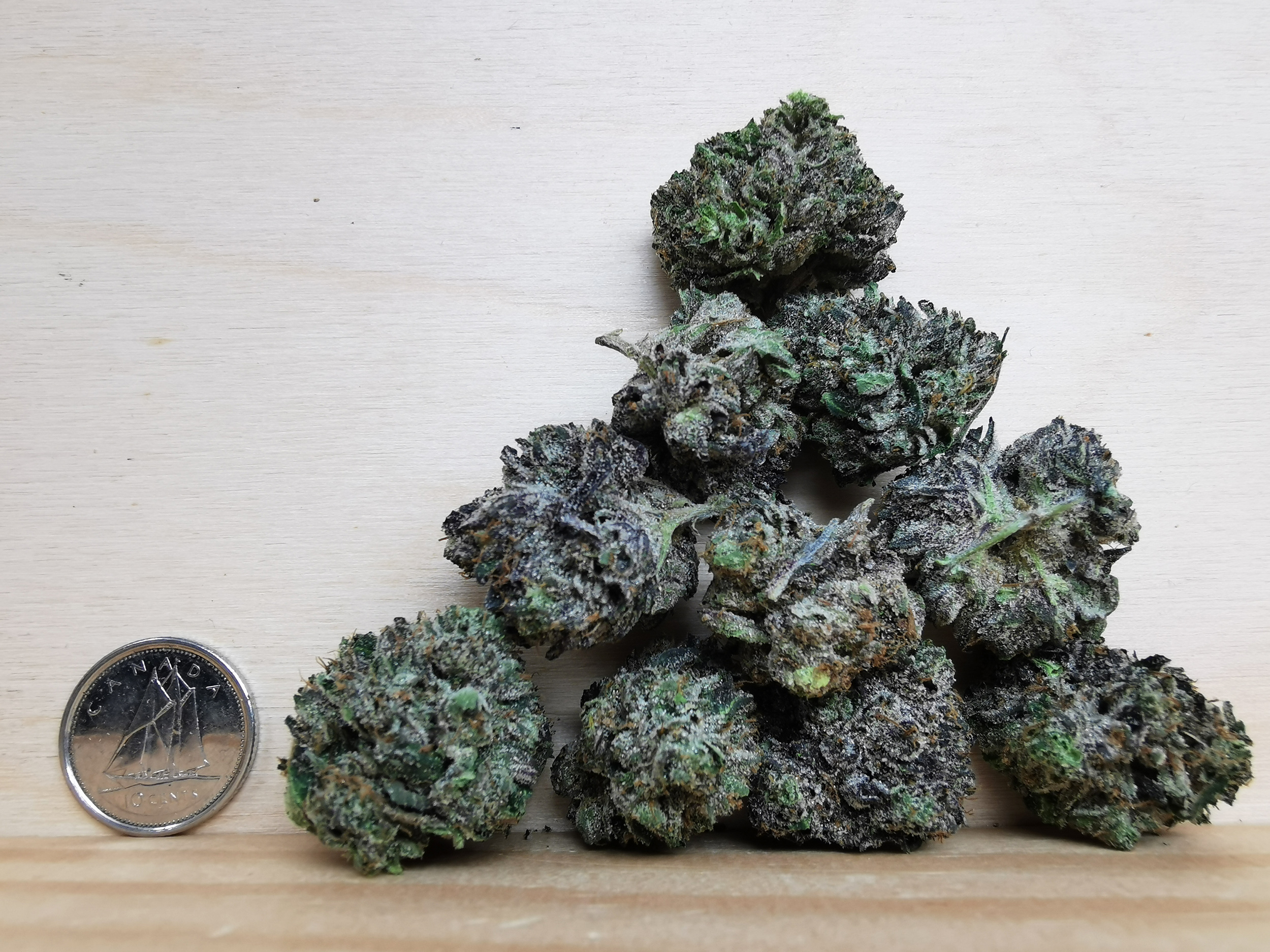 IMG_20251022_172621 Green Valley's AAAA+ Pink Death Smalls - Image 3