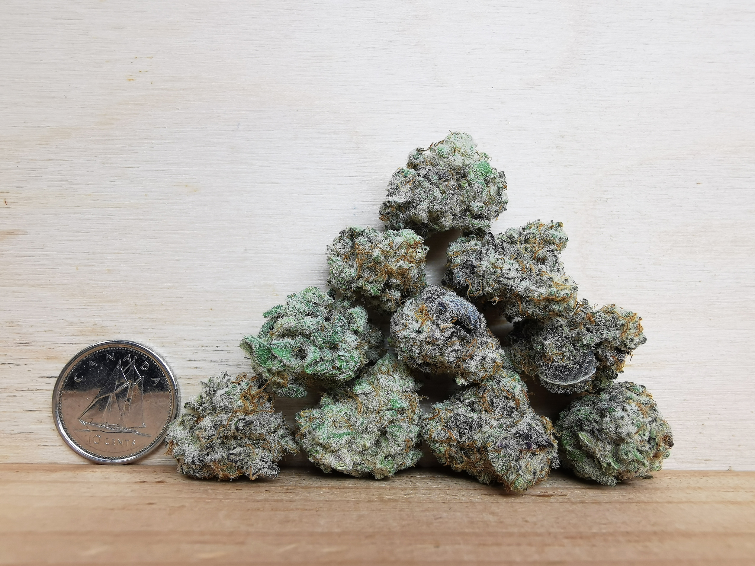 IMG_20251029_125548 Bulk-Sale GV's AAAA MAC #1 Smalls - Image 2