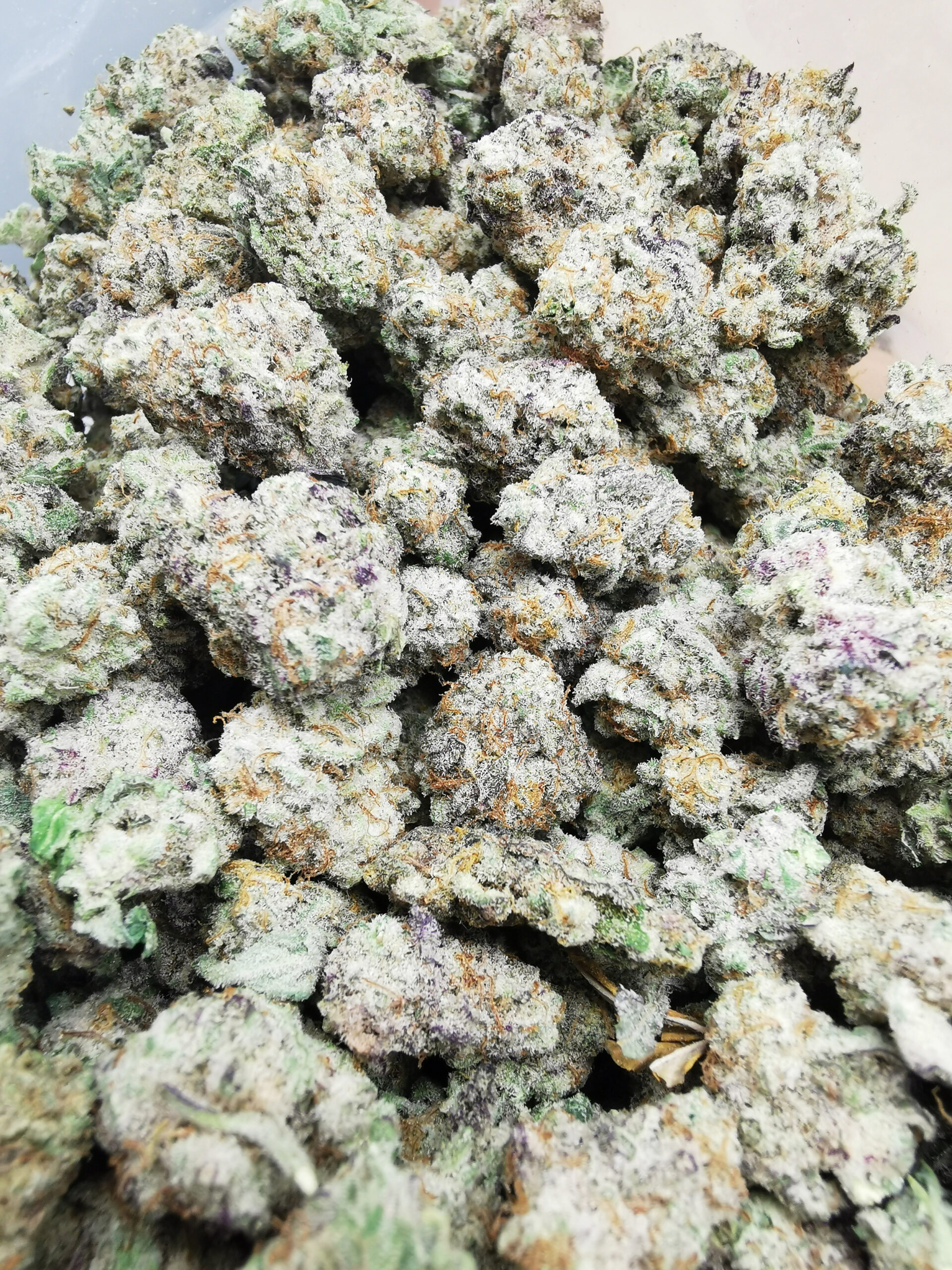 IMG_20251029_125623 Bulk-Sale GV's AAAA MAC #1 Smalls - Image 3