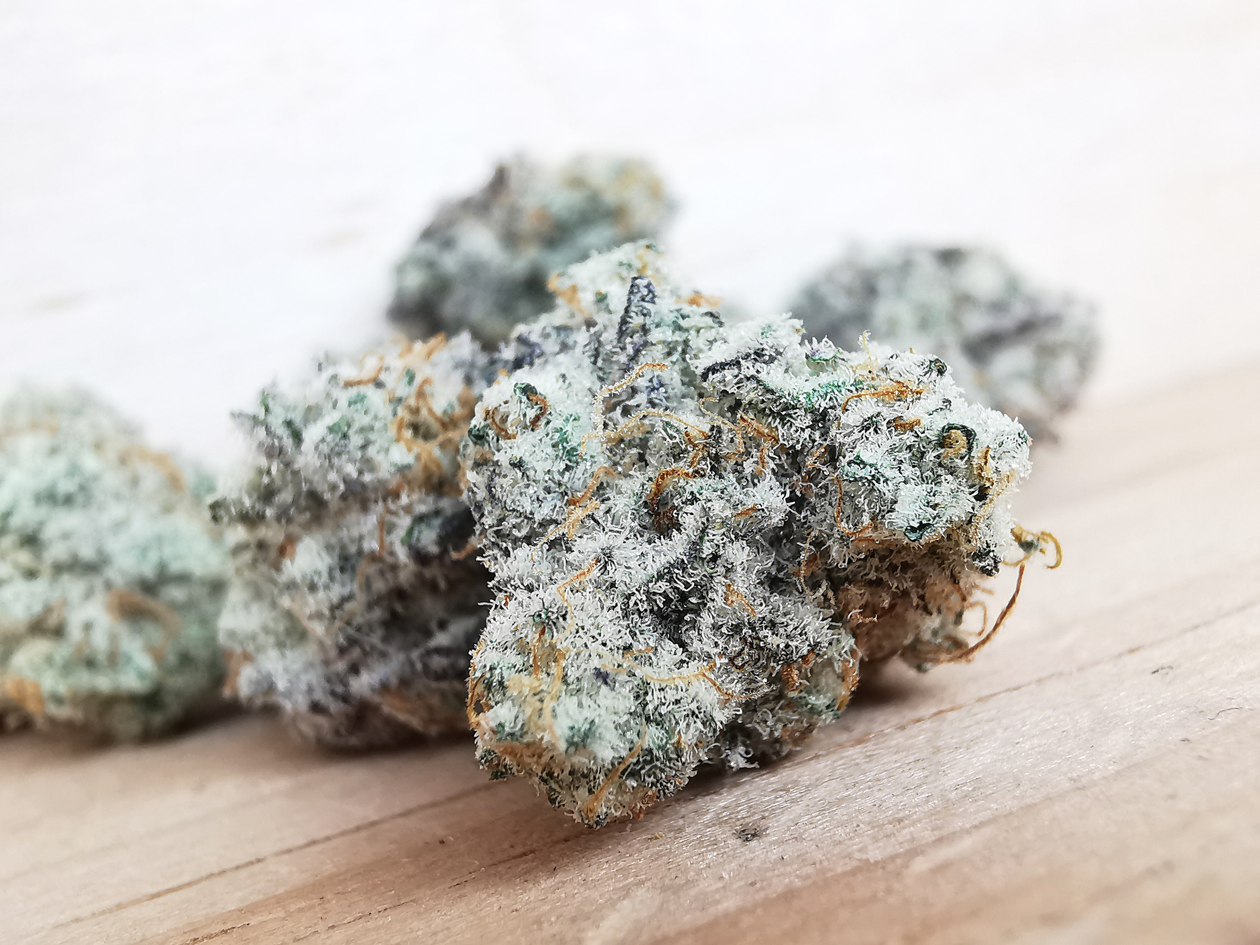 IMG_20251029_125654 Bulk-Sale GV's AAAA MAC #1 Smalls - Image 4