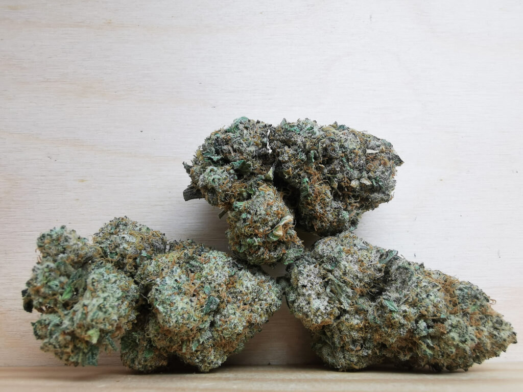 Buy Magic Mushrooms Online in Nanaimo, BuyWeed247