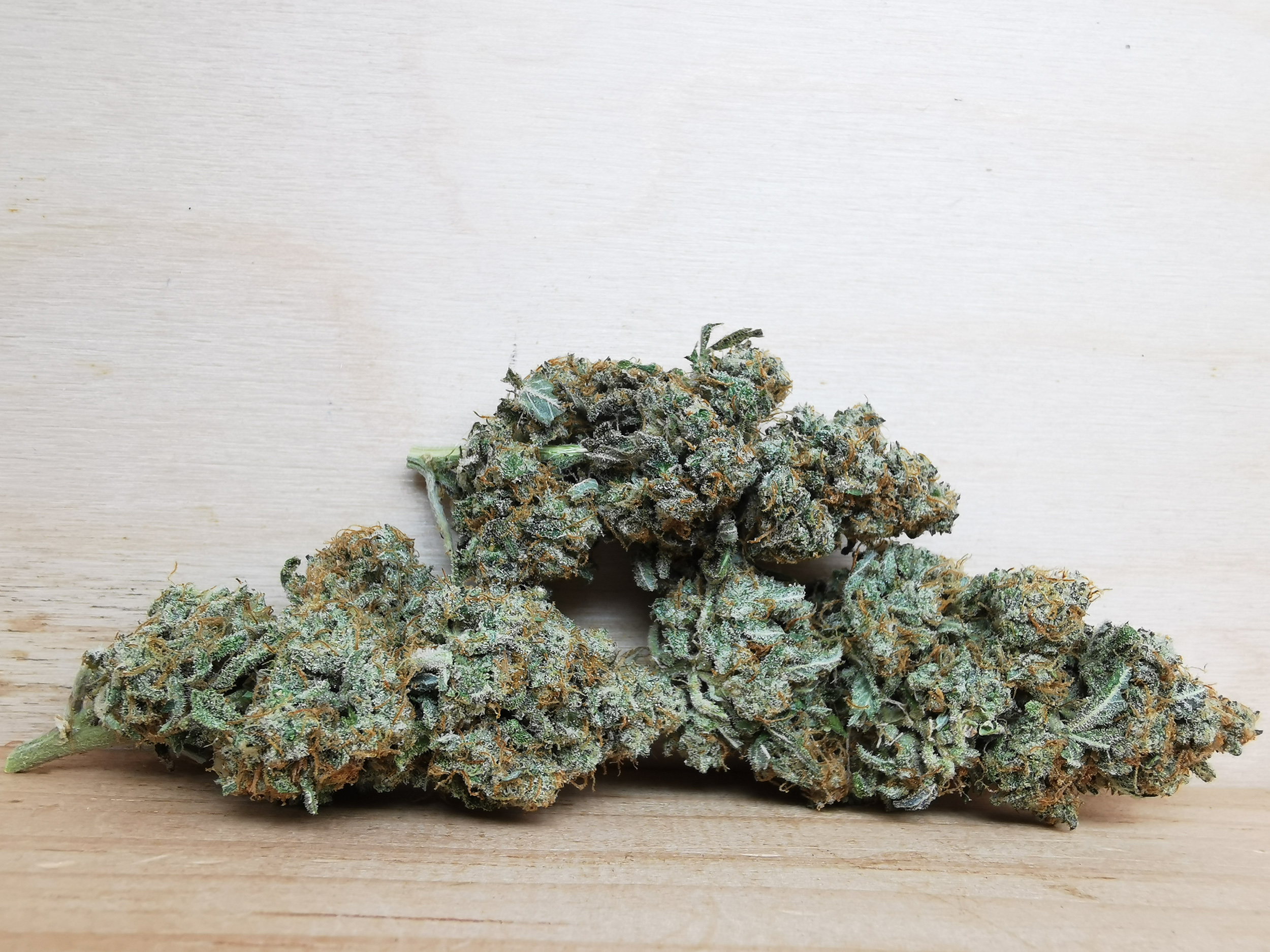 IMG_20251029_130222 AK 47 - Image 1