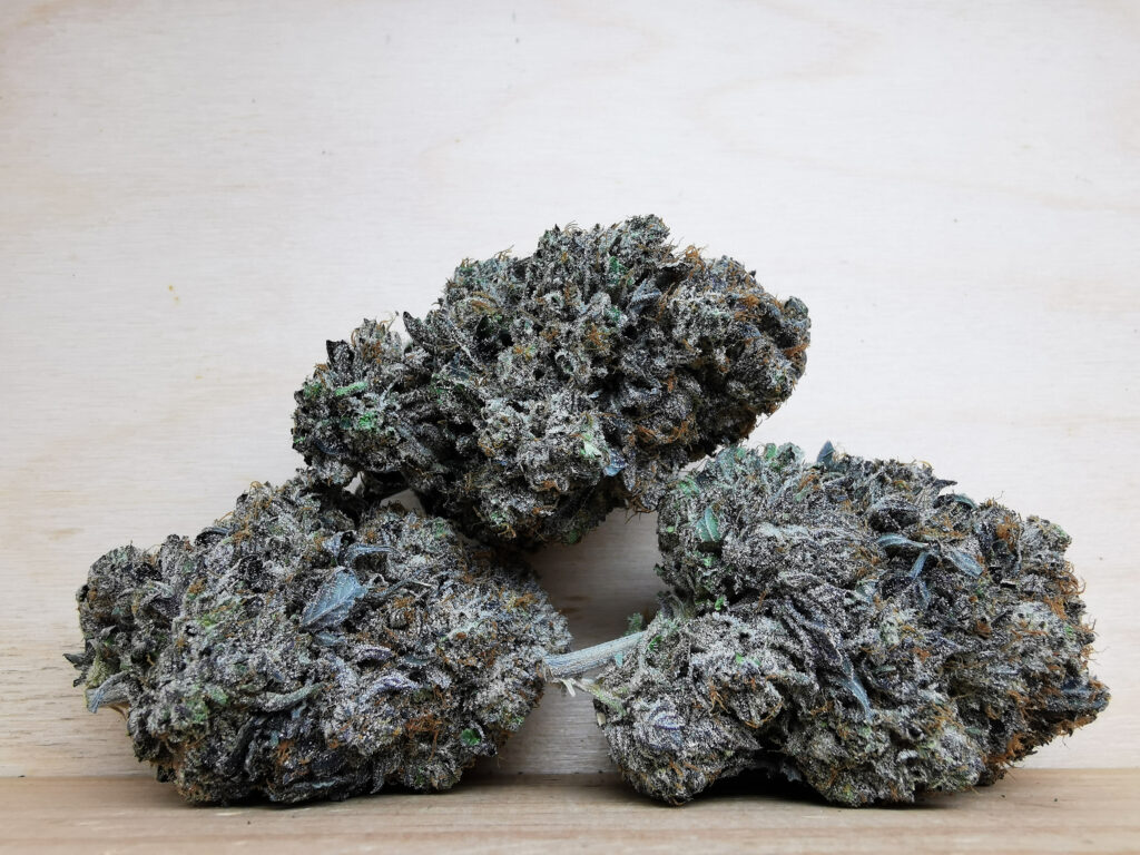 Buy Bulk Weed Online Aurora Ontario Dispensary, BuyWeed247