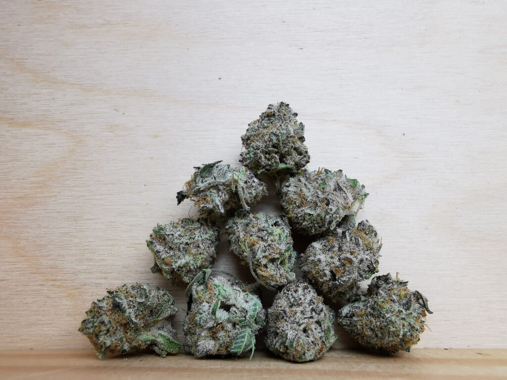 Buy Weed Online Dispensary Regina Canada, BuyWeed247