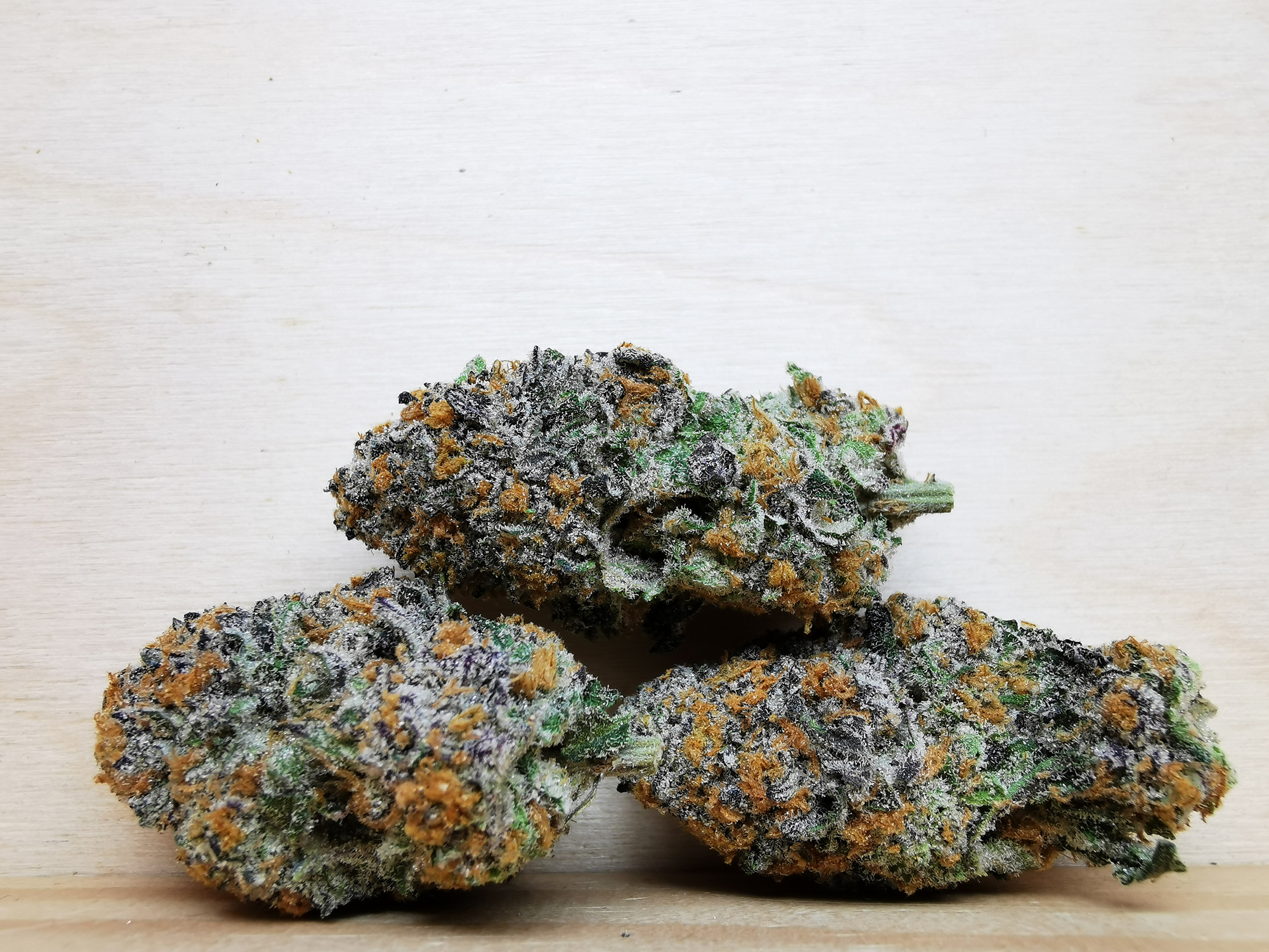 IMG_20260216_160258 Green Valley's AAAA+ Bubblegum Biscotti - Image 1