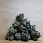 Bulk-Sale GV's AAAA+ Fiesta Smalls