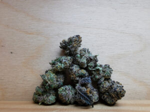 Best Sativa Weed Strains in Canada 2021, BuyWeed247