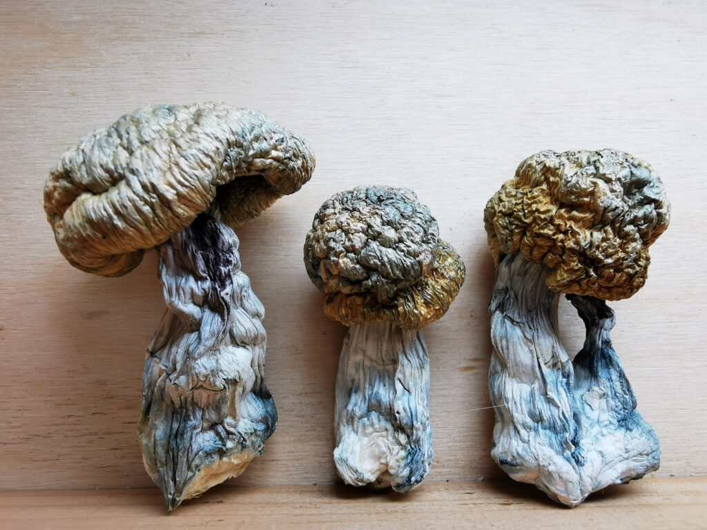 Buy Weed Online, BuyWeed247